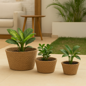 08 conjunto 3 cestos redondos de fibra natural wolff