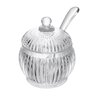 05 acucareiro de cristal ecologico 130ml linha renaissance com colher de acrilico lyor